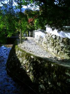 e0127625_21541222.jpg