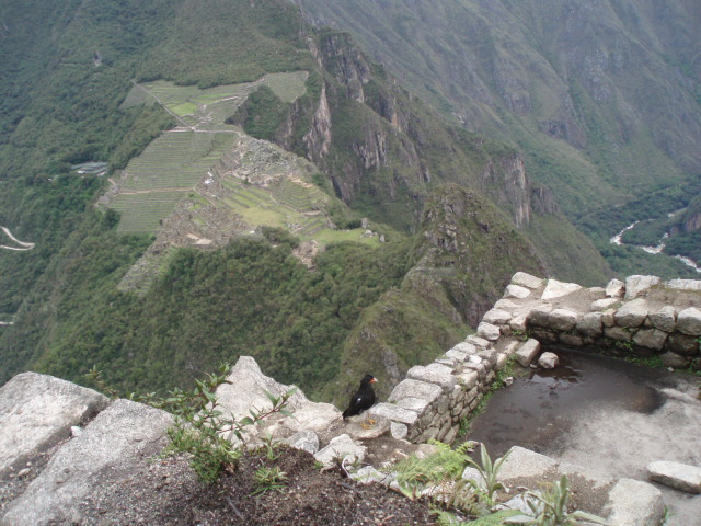 f0095325_1416062.jpg