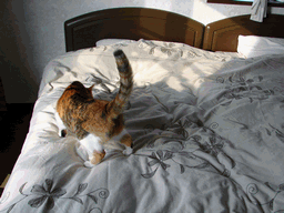c0136736_2391861.gif