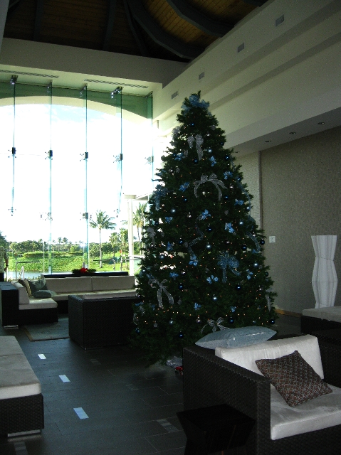 e0022439_178122.jpg