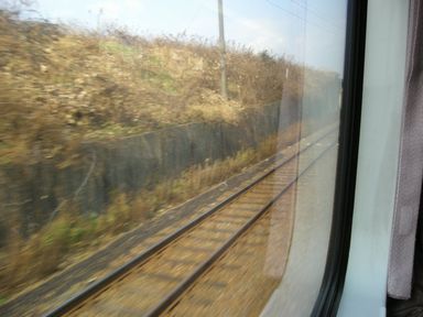 d0079440_22454598.jpg