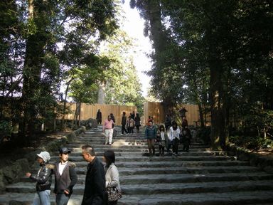 d0079440_230748.jpg