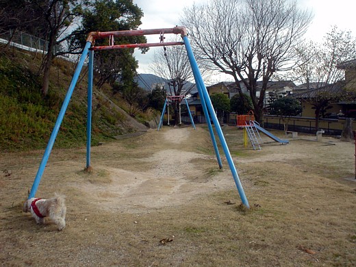 b0016043_20285810.jpg