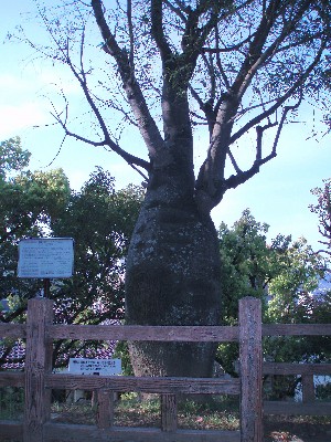 e0163044_172551100.jpg