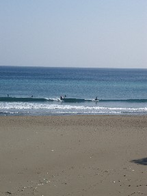 b0110545_2059663.jpg