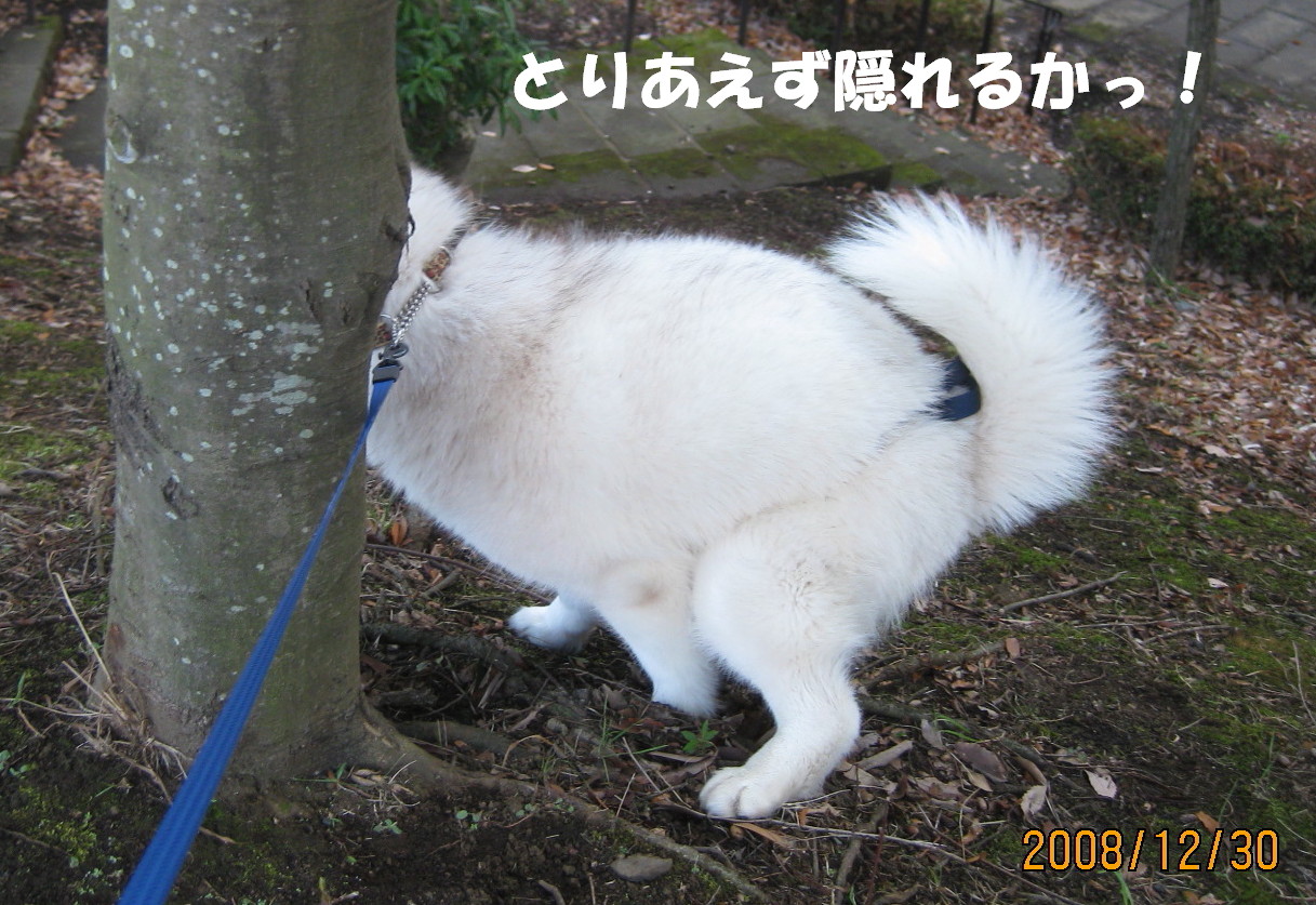 e0121548_21151623.jpg