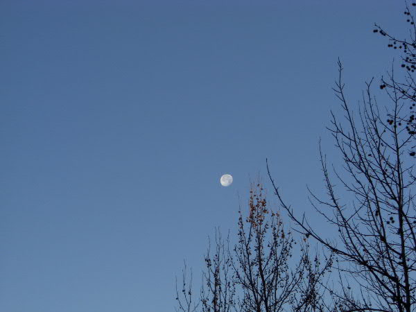 e0017051_1845288.jpg