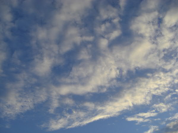 e0017051_1853184.jpg