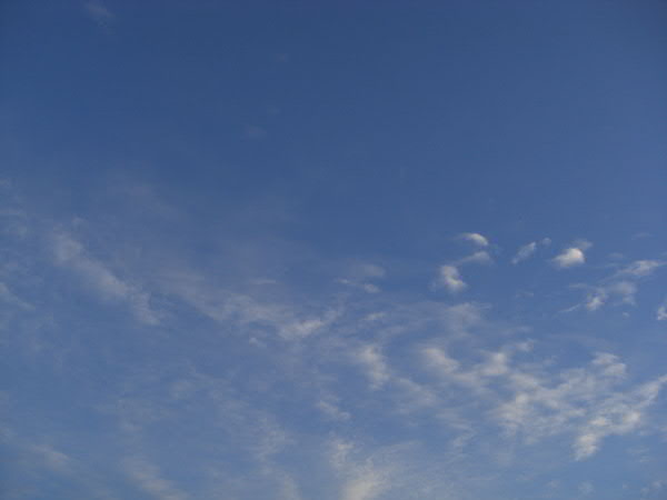 e0017051_186688.jpg