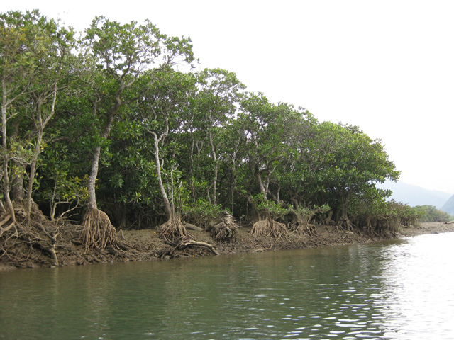 f0183656_16115767.jpg