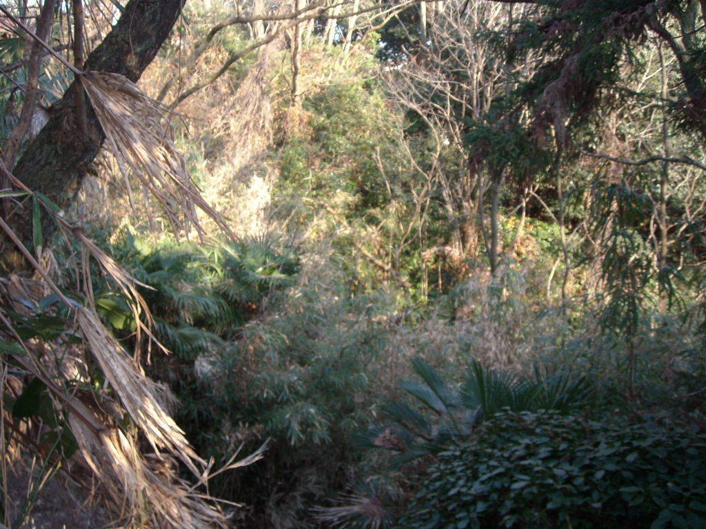 d0137658_21212735.jpg