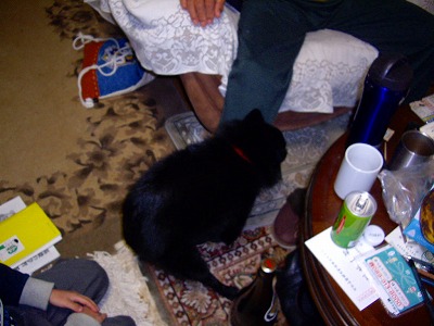 e0002466_15331959.jpg