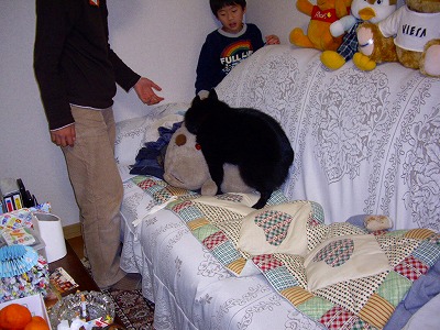 e0002466_1533314.jpg