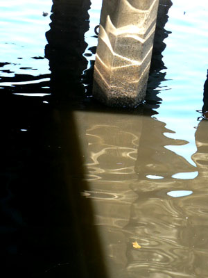 f0086169_924915.jpg