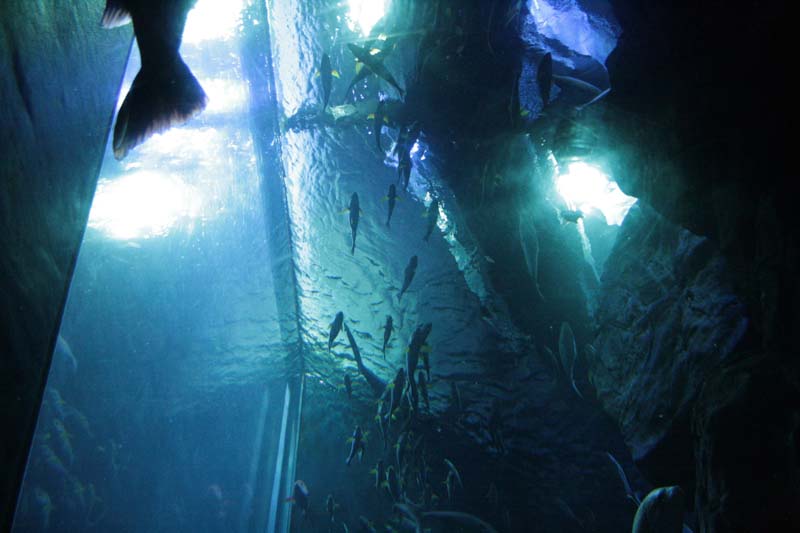 c0060076_1130760.jpg