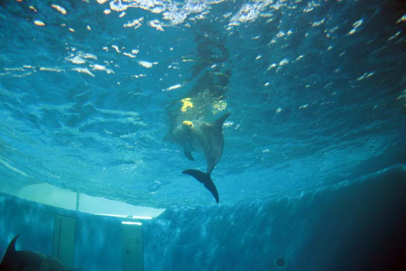 c0060076_1136132.jpg