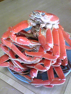 f0124177_237223.jpg