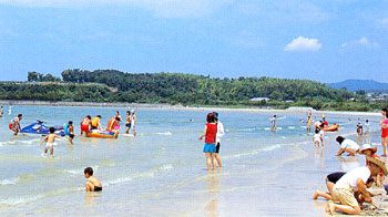 c0125283_9491678.jpg