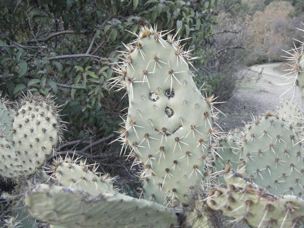 c0090390_18484189.jpg