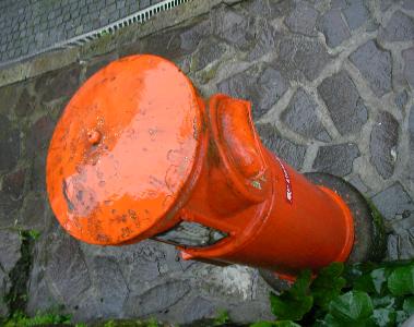 e0077899_7372443.jpg