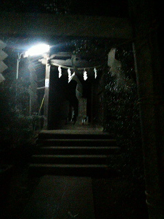 f0127408_23335711.jpg