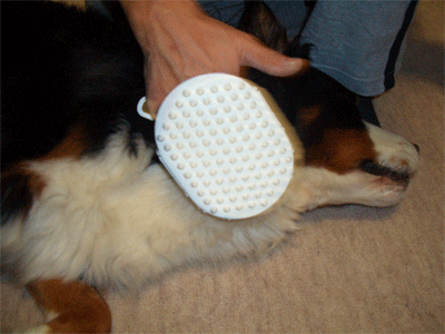 c0143711_2144224.gif