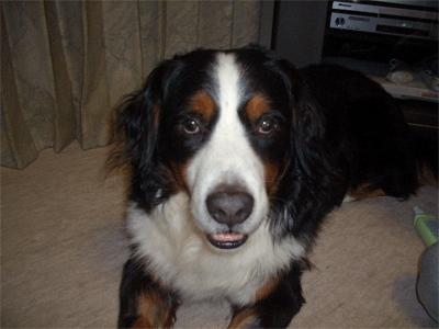 c0143711_2271537.gif
