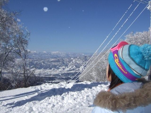 c0133013_2023246.jpg