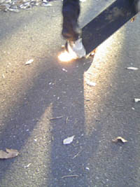 c0083518_16391585.jpg