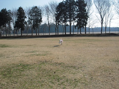 e0121418_1141458.jpg