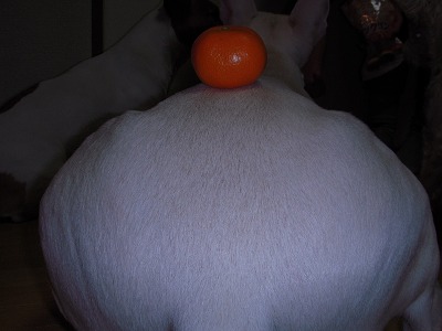 e0121418_18224993.jpg
