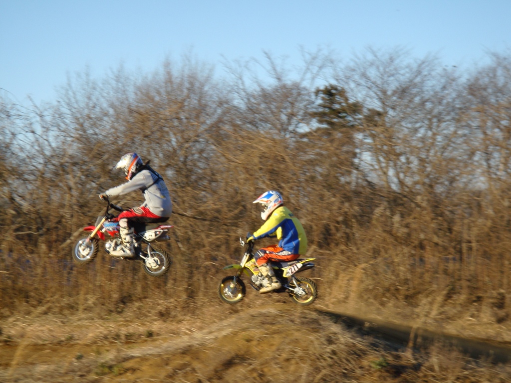 f0114520_1401689.jpg