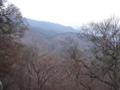 f0000521_6592273.jpg