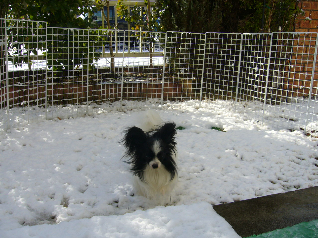 f0135021_11444521.jpg