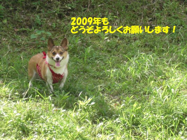 f0182121_014142.jpg