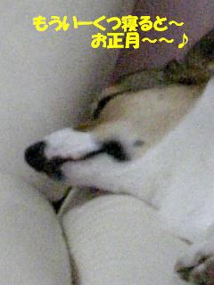 f0182121_05915.jpg
