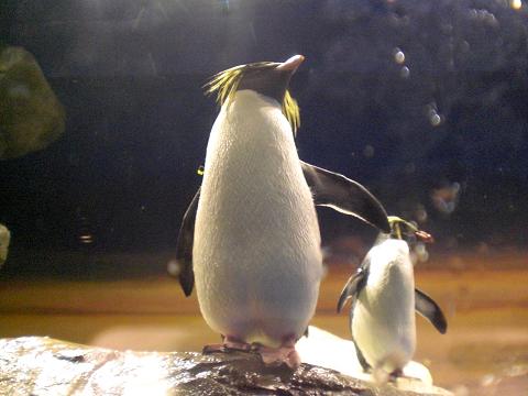 a0056523_193113.jpg