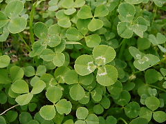 f0079723_21535941.jpg