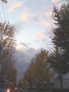 e0107725_094322.jpg