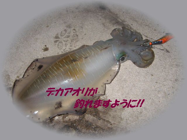 c0168626_940453.jpg