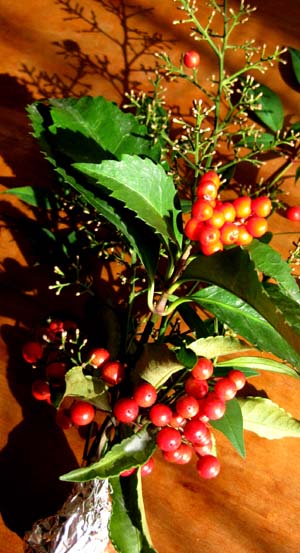 e0134232_12311785.jpg
