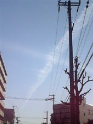 f0028132_215255.jpg
