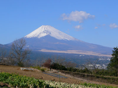 f0061334_2205071.jpg