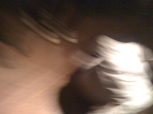 a0103035_15233696.jpg