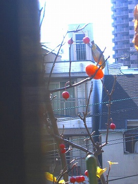 c0056437_1347521.jpg