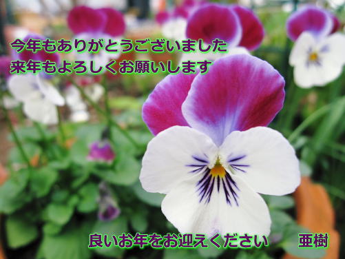 d0043737_042095.jpg