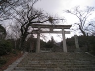 c0077338_839138.jpg