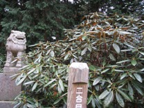 c0077338_8395088.jpg