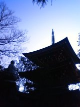 b0075140_2275929.jpg