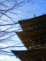 b0075140_2284841.jpg